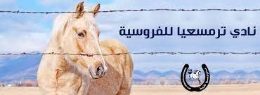 نادي ترمسعيا للفروسية